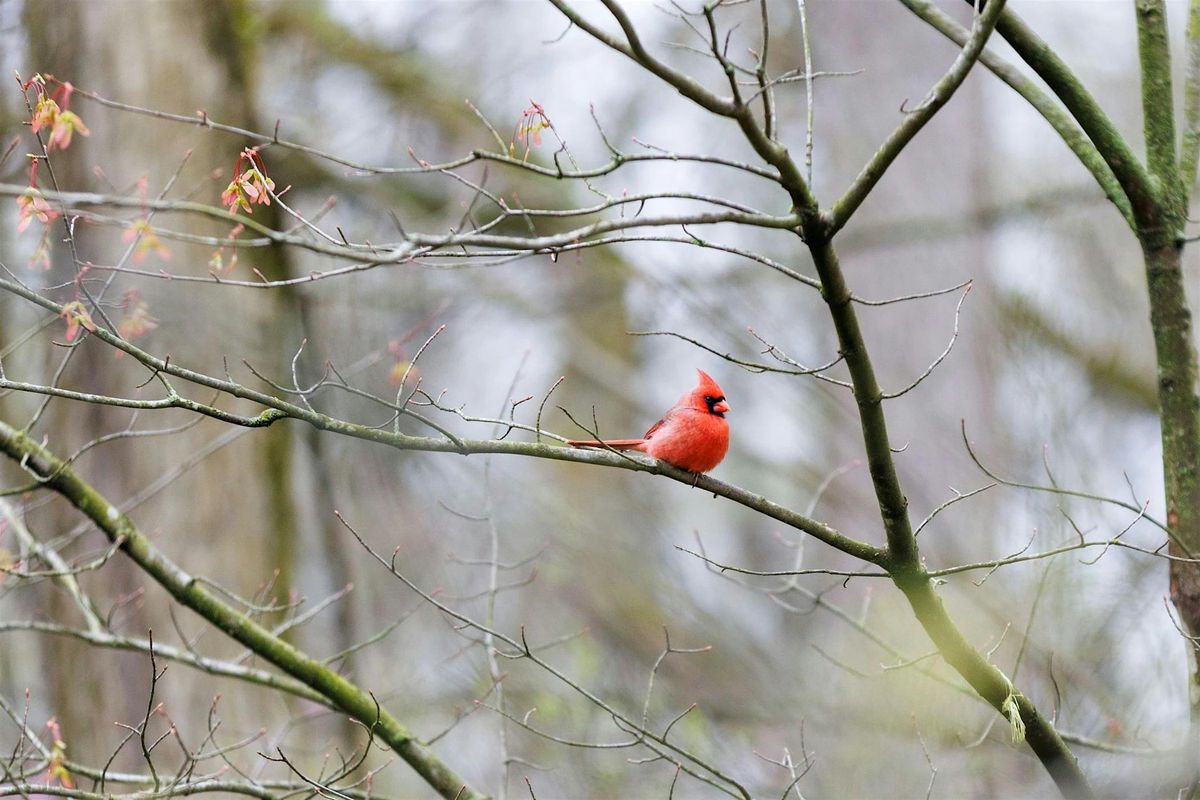 Birds and Brews at Newfields with the Indiana Audubon Society