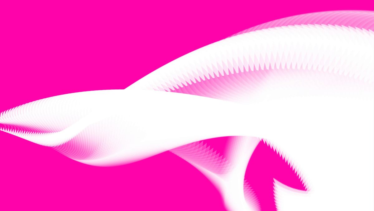 Brooklyn Symphony Orchestra: Meehae Ryo Plays Saint-Sa\u00ebns