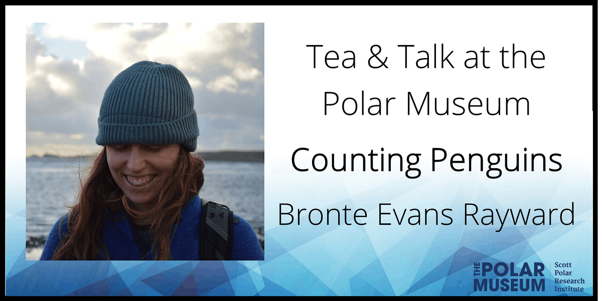 Tea & Talk: Counting Penguins with Bronte Evans Rayward