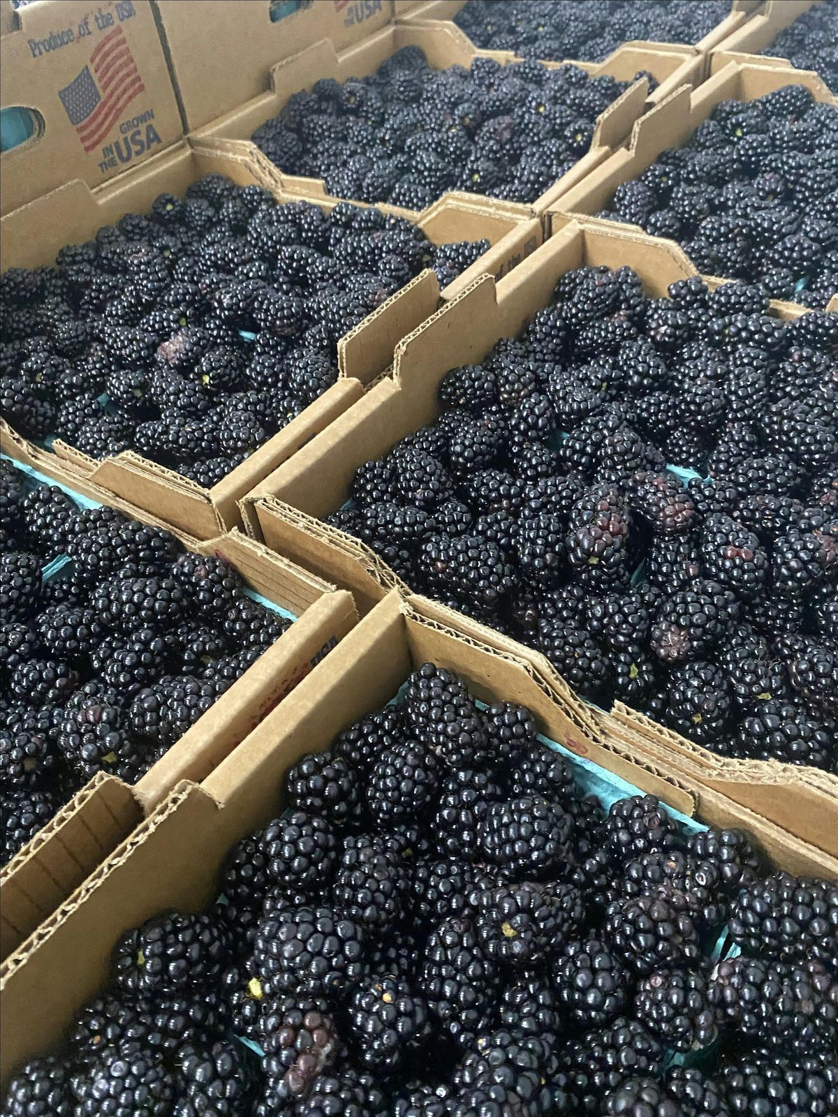 NC Produce Safety Professionals Conference