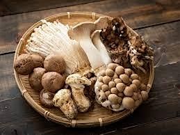 CURSO DE CULIN\u00c1RIA - RECEITAS COM COGUMELOS - 29\/11\/2025 (S\u00e1bado)