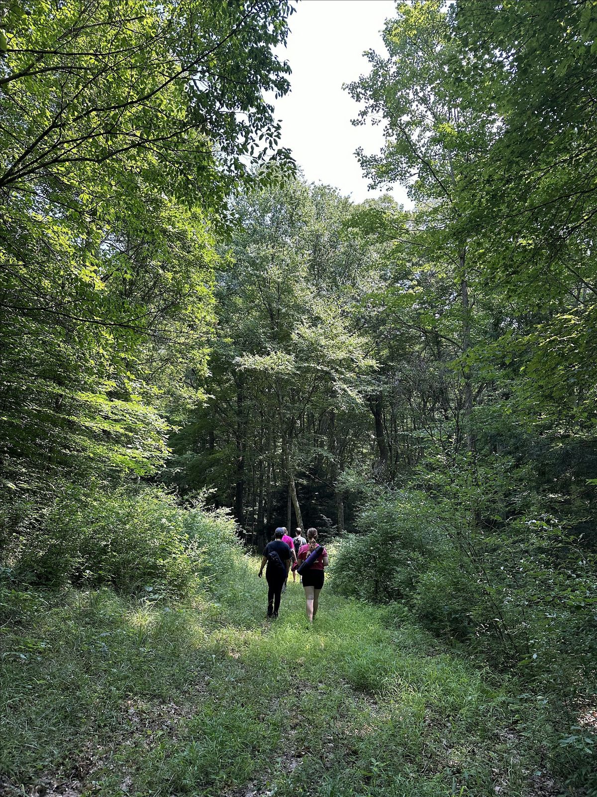 Seasonal Mindfulness Walks