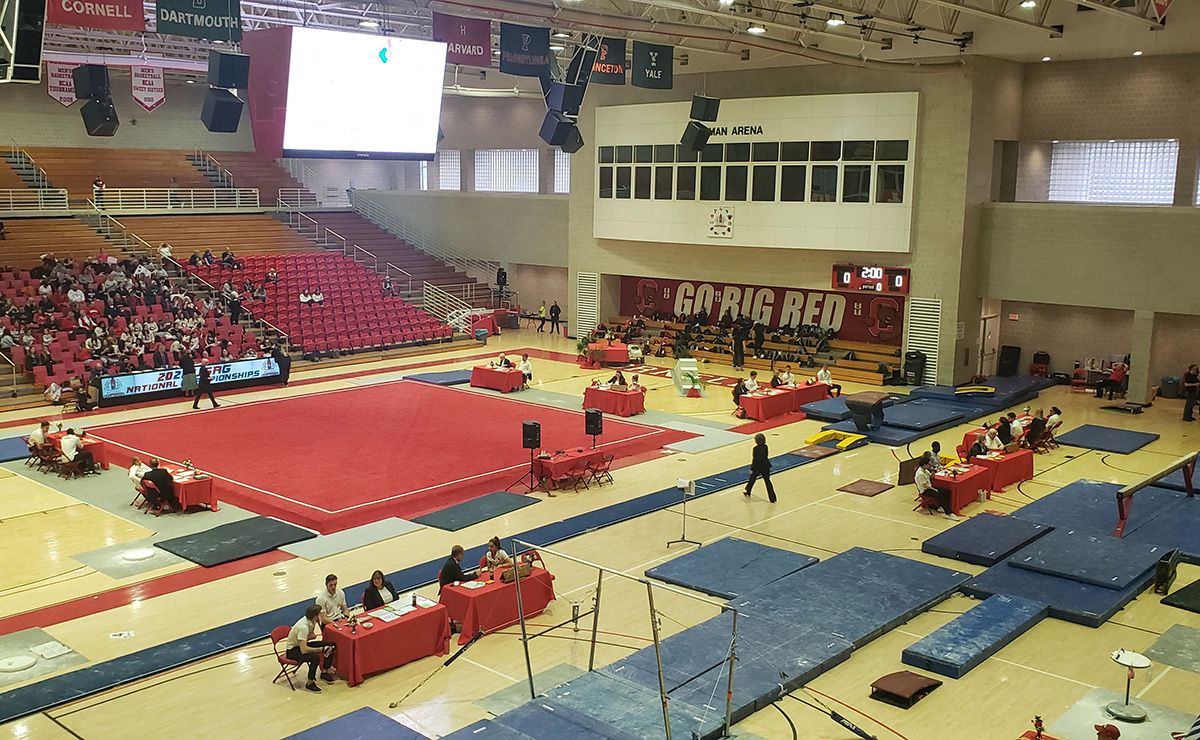 Air Force Falcons at Denver Pioneers Women's Gymnastics at Magness Arena