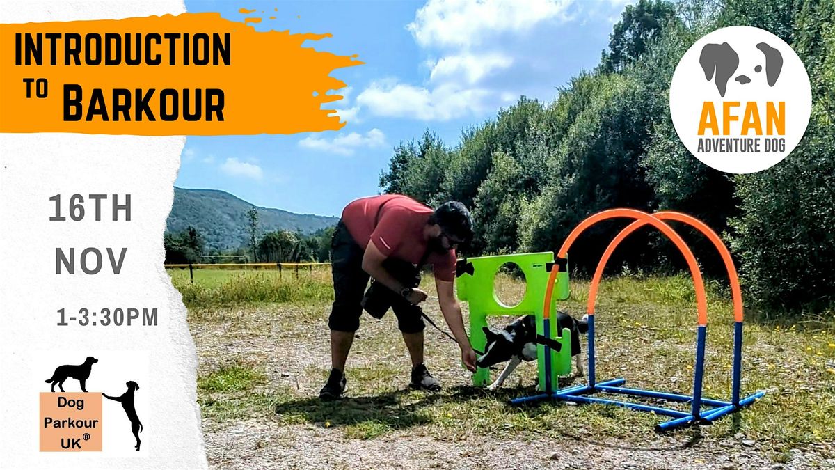 Introduction to Barkour (Dog Parkour)