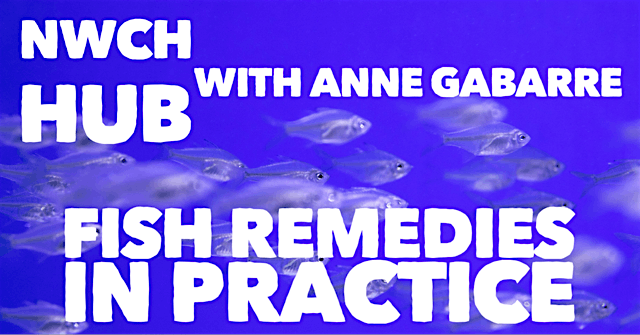 NWCH HUB: Fish Remedies in Practice