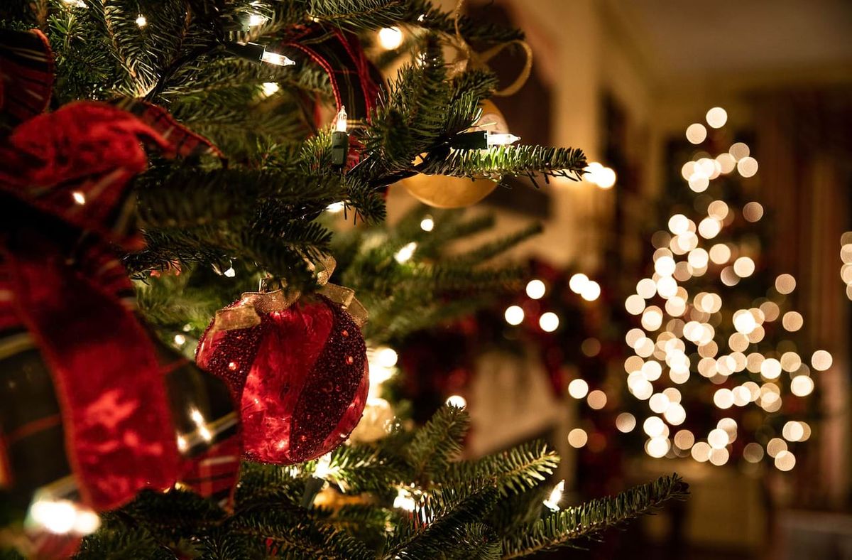 Naples Ballet & Naples Philharmonic: The Nutcracker