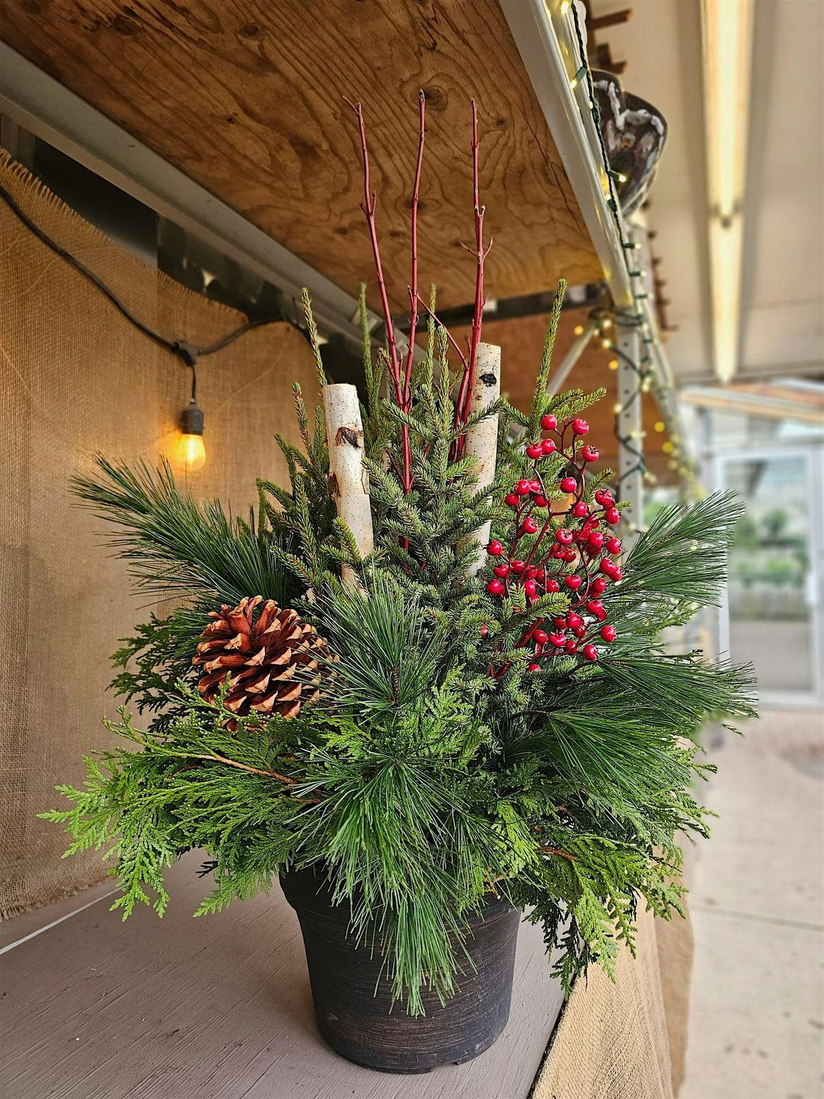 Spruce Tip Winter Porch Pot Workshop at Traverse Des Sioux Garden ...