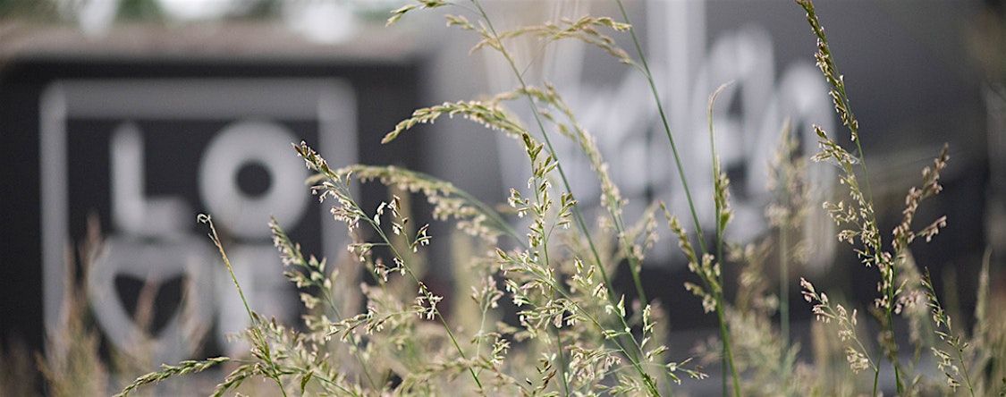 Neuroaethetics & Biophilia CEU with Verellen's Kathryn Richardson