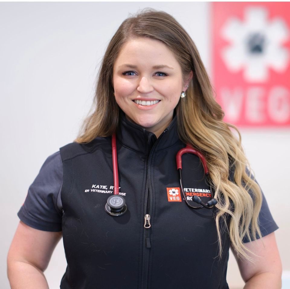 NCAVT Fall Conference Gaston College, Dallas, NC October 21, 2023