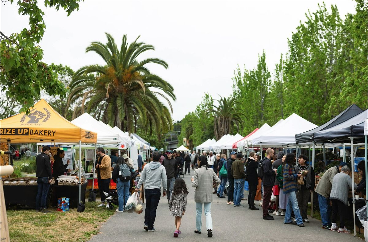The LAB at the Farmer's Market