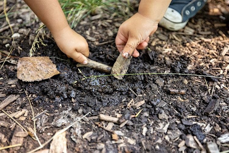 Jr. Forest Explorers \/\/ Explorateurs Forestiers Juniors
