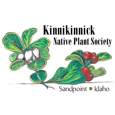 Kinnikinnick Native Plant Society