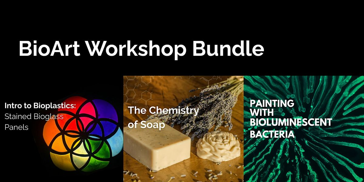 BioArt Workshop Bundle