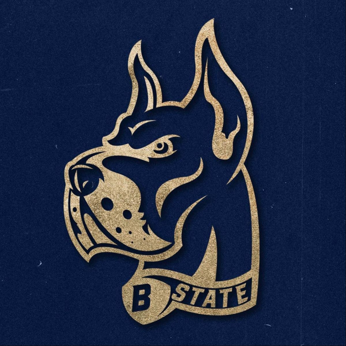 Bluefield State College Big Blues vs. Virginia Union Panthers