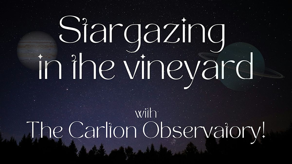 Stargazing in the Vineyard