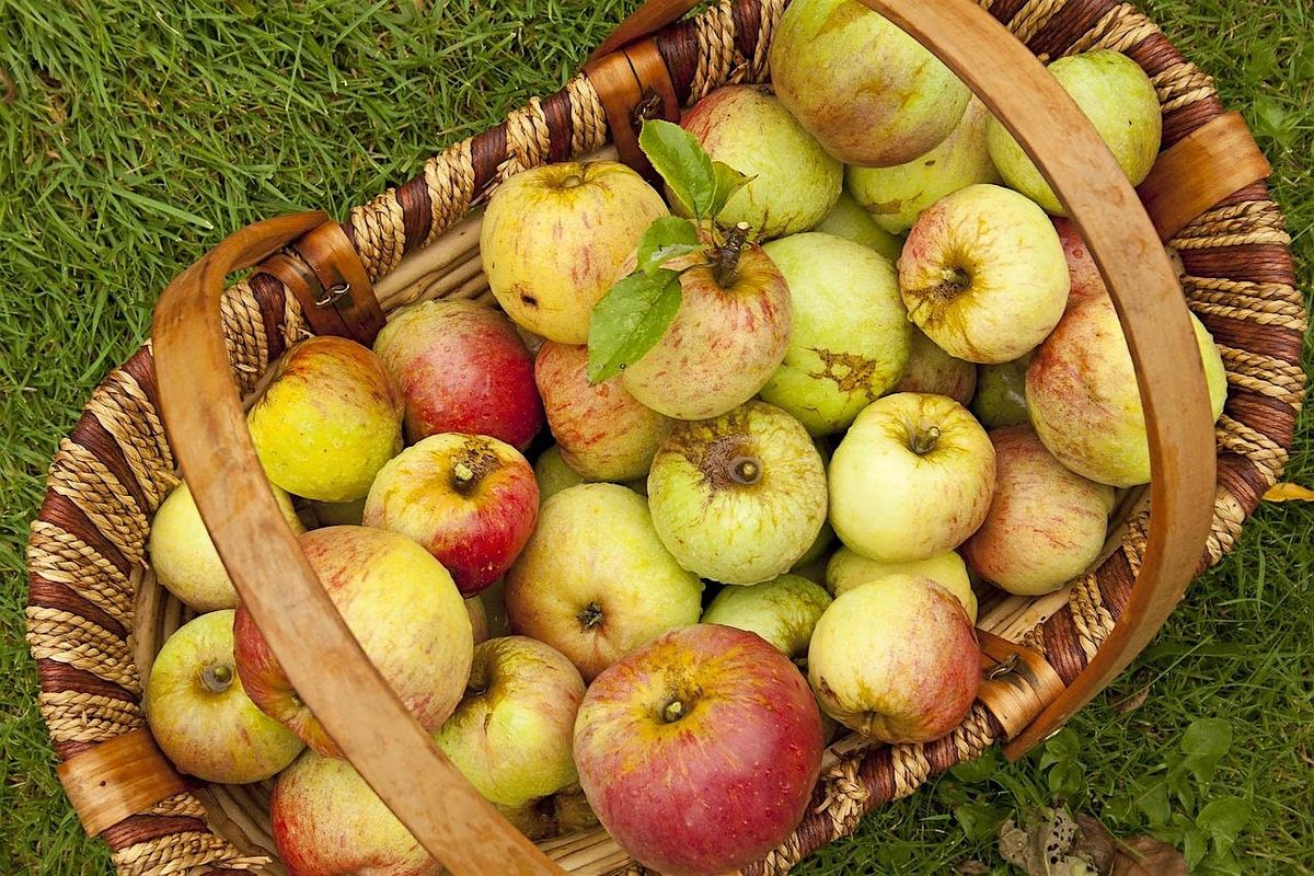 Apple Day - Nature Discovery Centre, Sunday 12 October