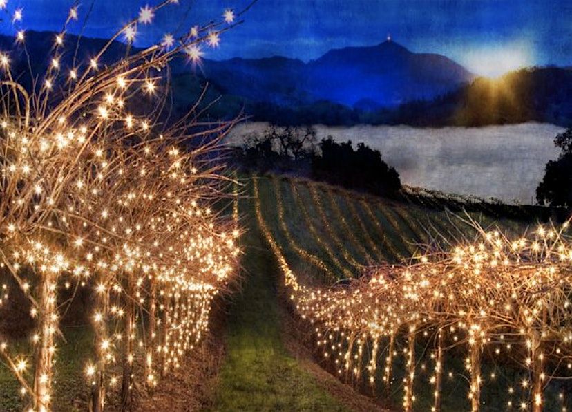 Holiday Bazaar at Cavallo Vineyards