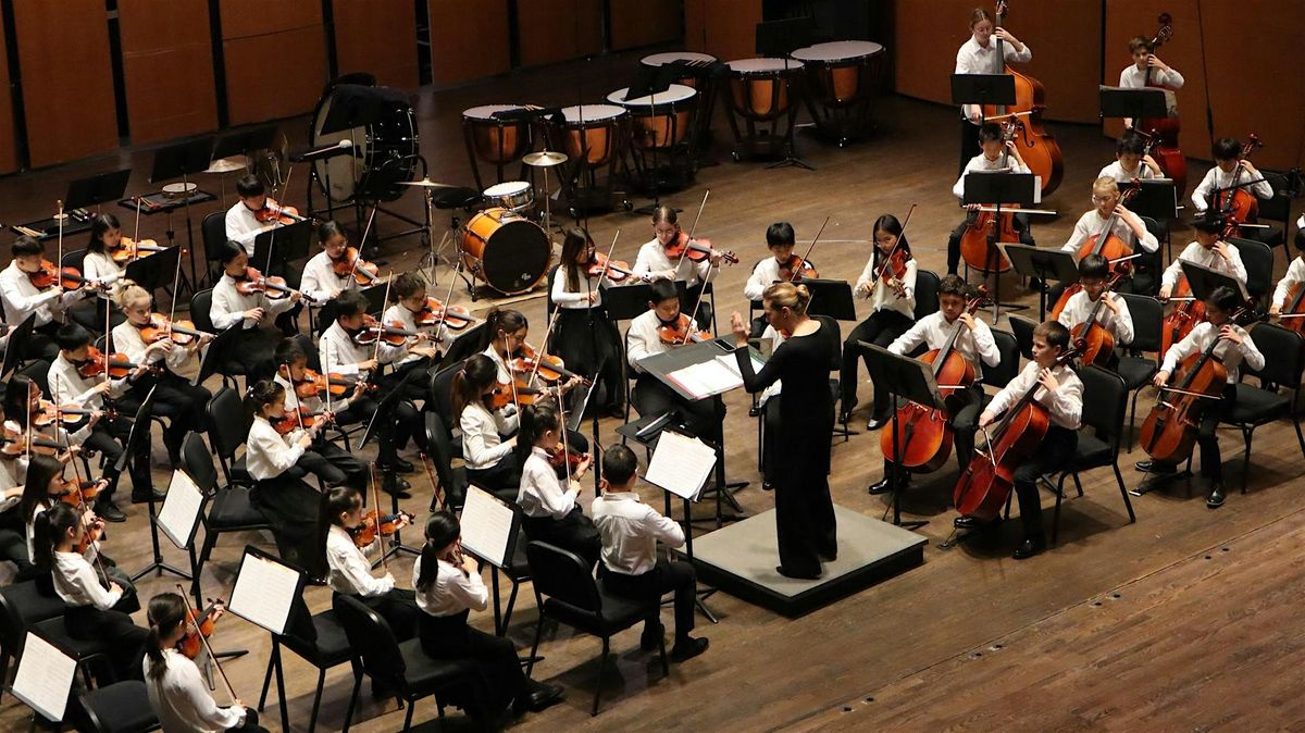 Debut Orchestra & String Ensemble in Concert