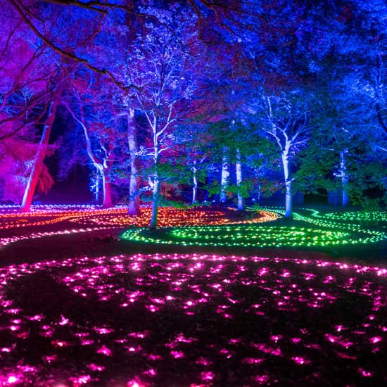Lightscape at Brooklyn Botanic Garden