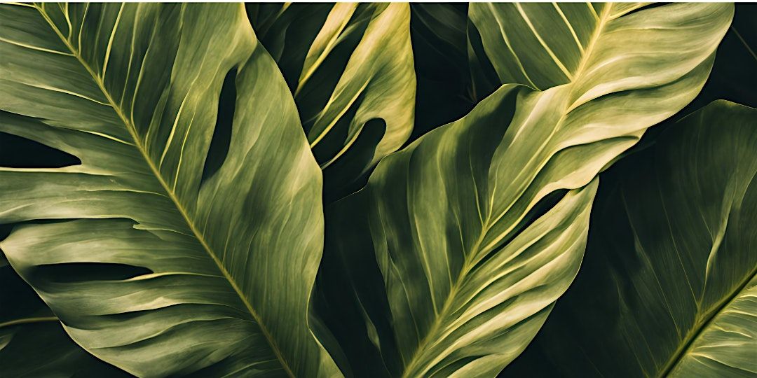 October Plant Sale