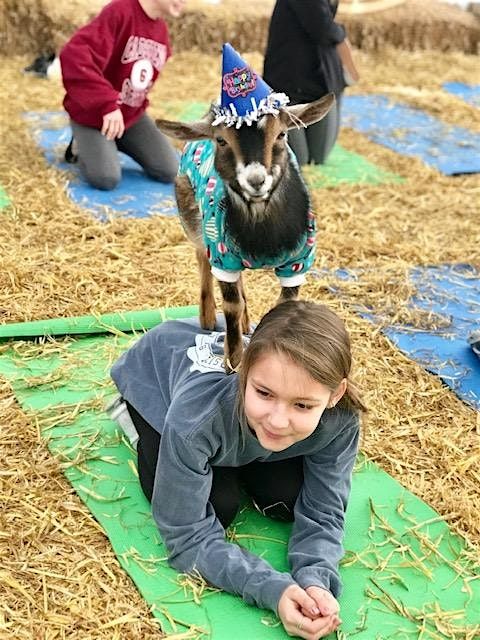 Goat Yoga Nashville- New Year's Day Class
