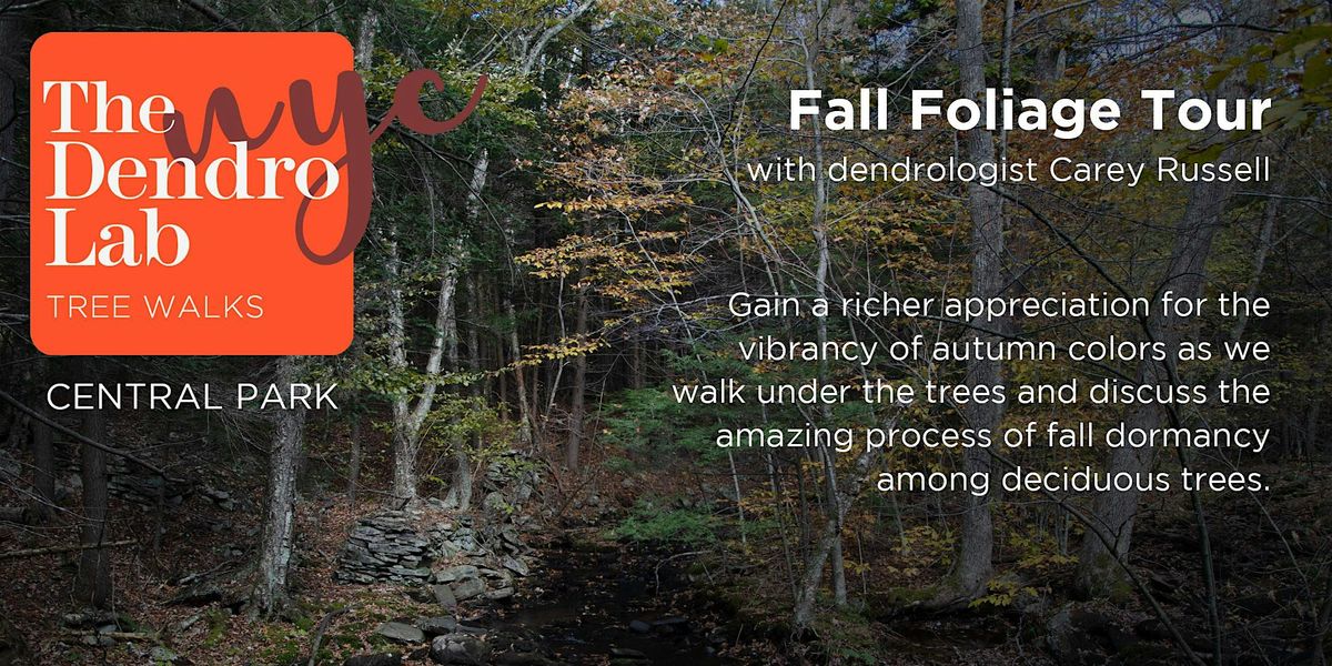 Fall Foliage & Phenology Tree Tour of Central Park (10am-12)
