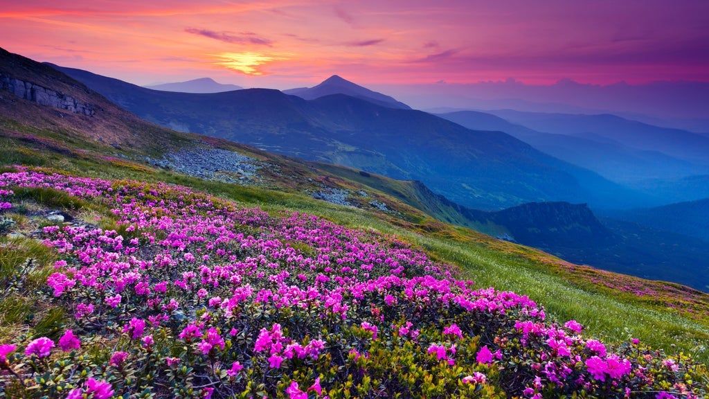 North Carolina Symphony - Appalachian Spring