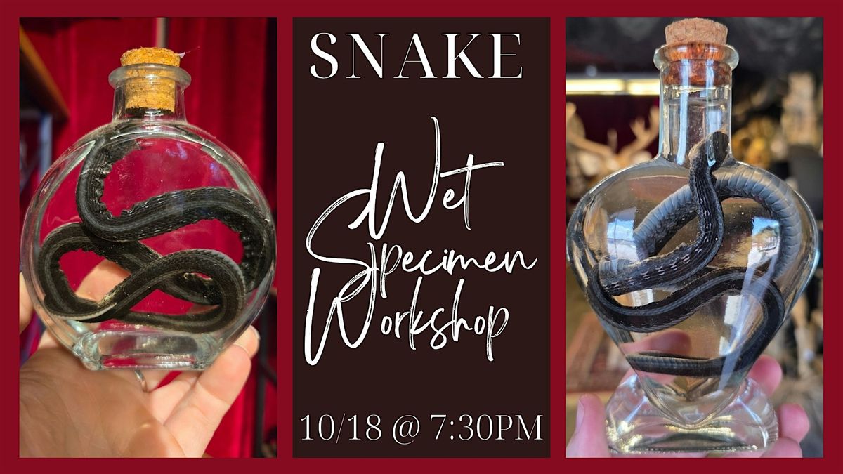Snake Wet Specimen Workshop