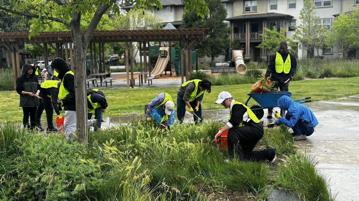 Ryland Park Community Day - Sunday Series