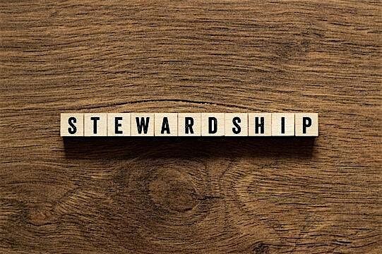The Stewardship Exchange: Ideas, Insights, and Impact