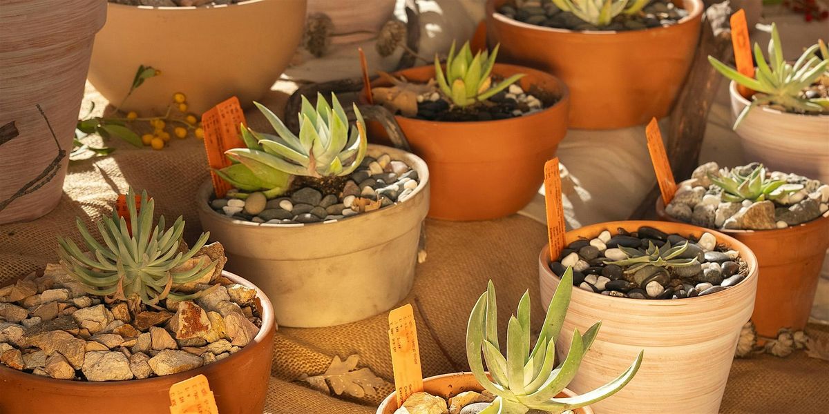 California Native Plant Container Gardening with Terrence Williams