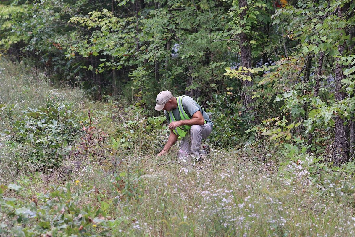 Va Native Plant Society walk- Piedmont Prairie Habitat