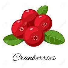 Extraordinary Cranberry