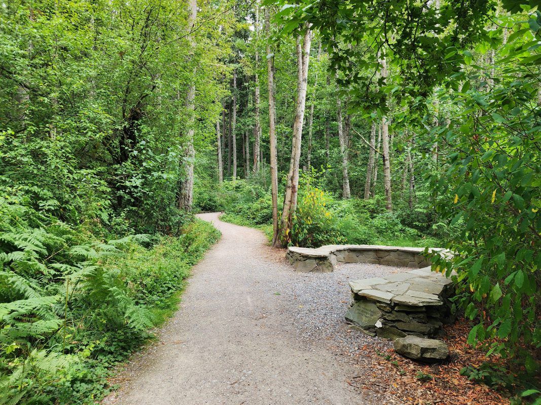 Homeschool Hiking Club Rotary Trailhead, Bellingham, WA July 12, 2024