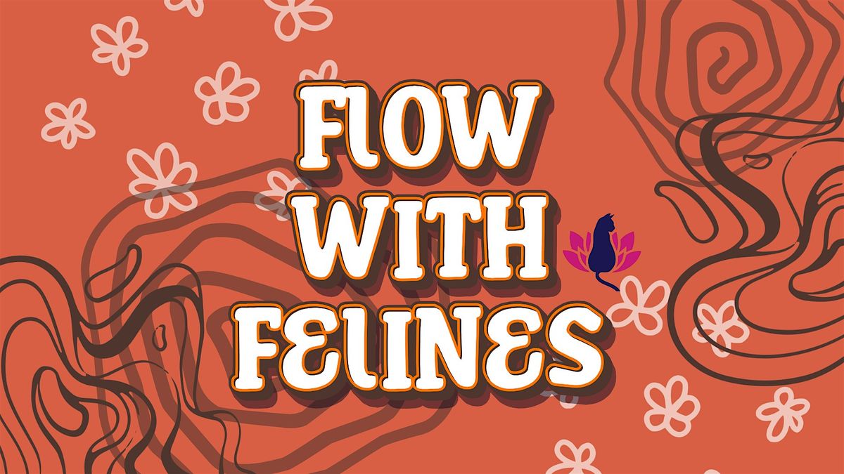Flow With Felines