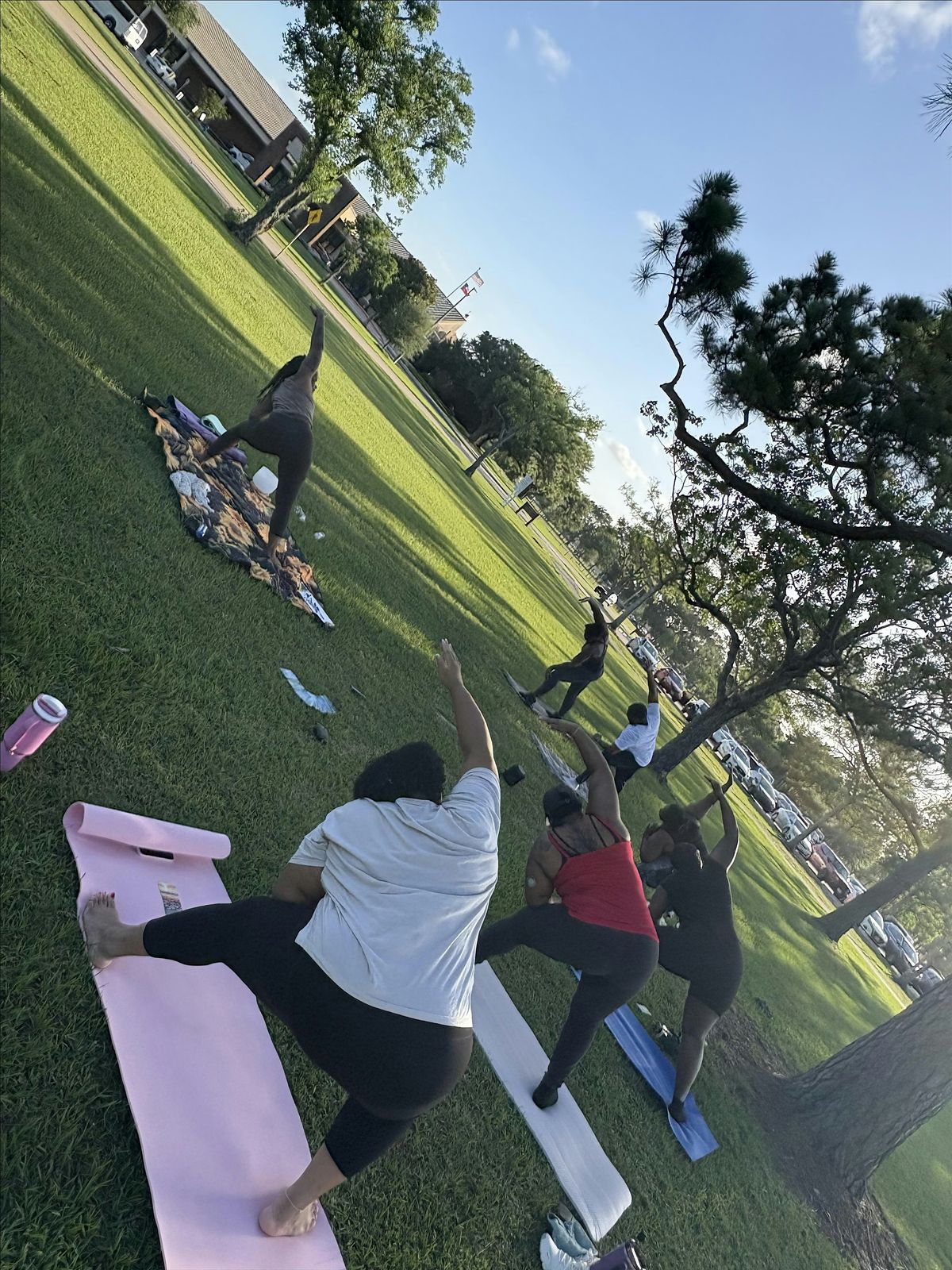 Walk and Yoga in the Park