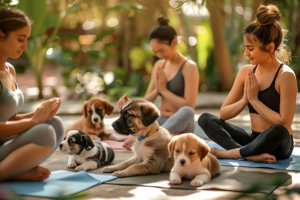 GirlsConnectYYC Does Puppy Yoga at Rebarkable Retreats!