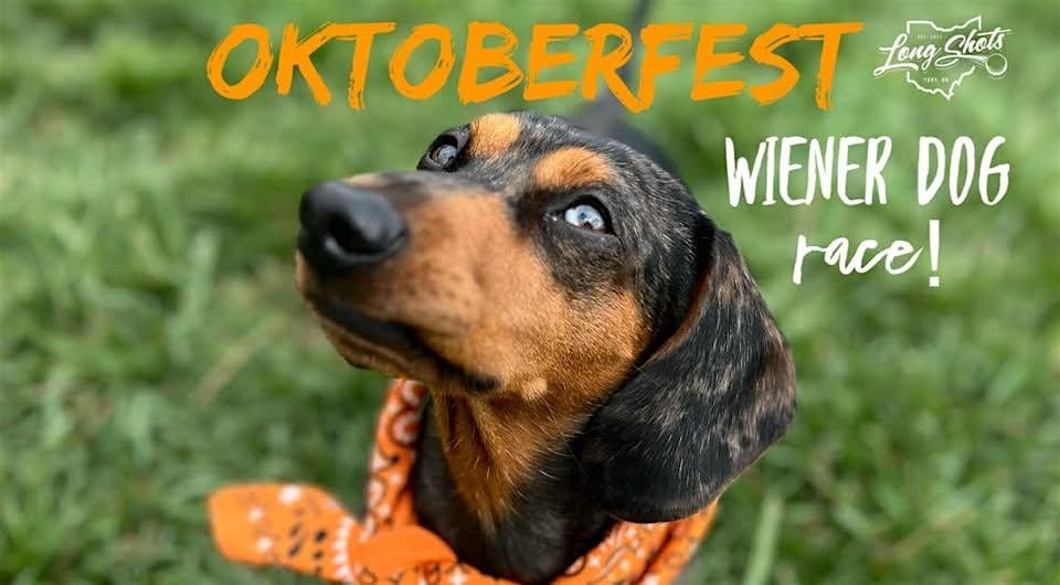 3rd Annual Oktoberfest Wiener Dog Race