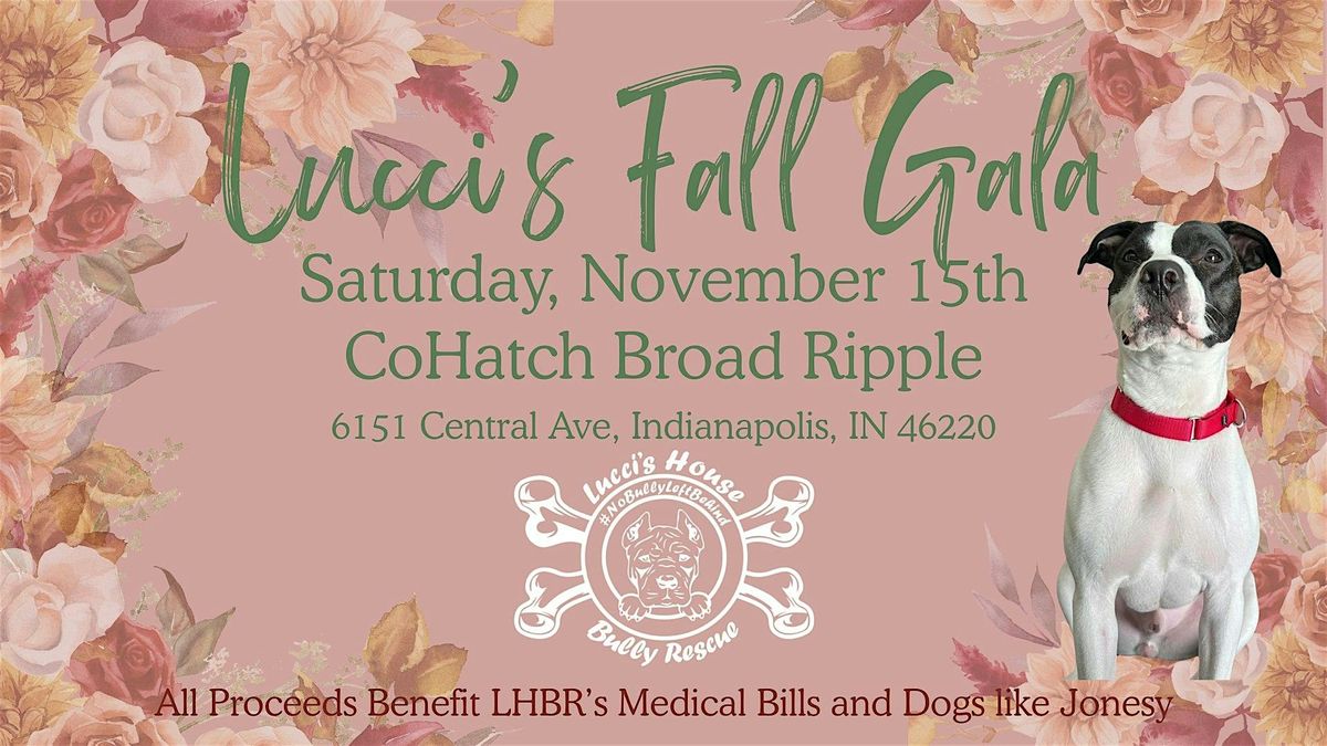 Lucci's Fall Gala