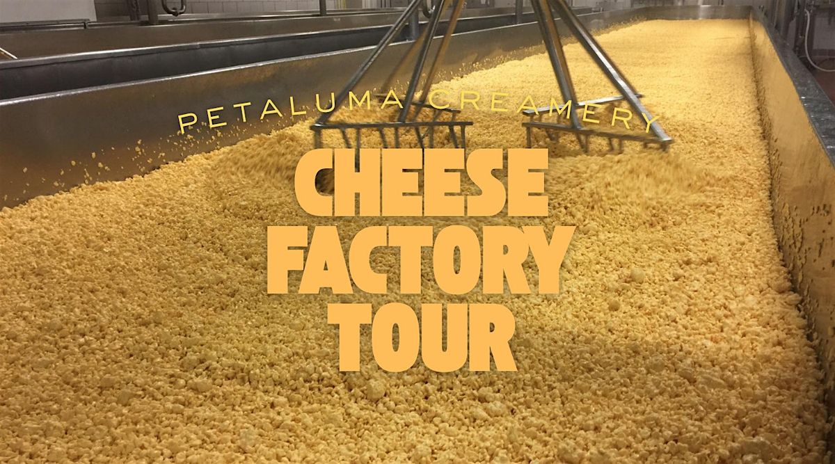 Copy of Petaluma Creamery Cheese Factory Tour