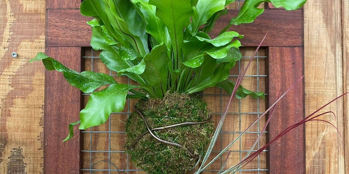 DIY Mounted Fern