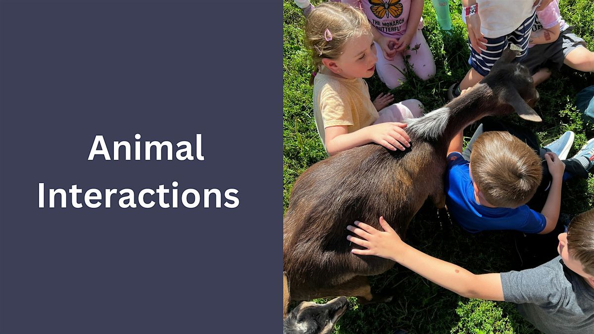Animal Interactions