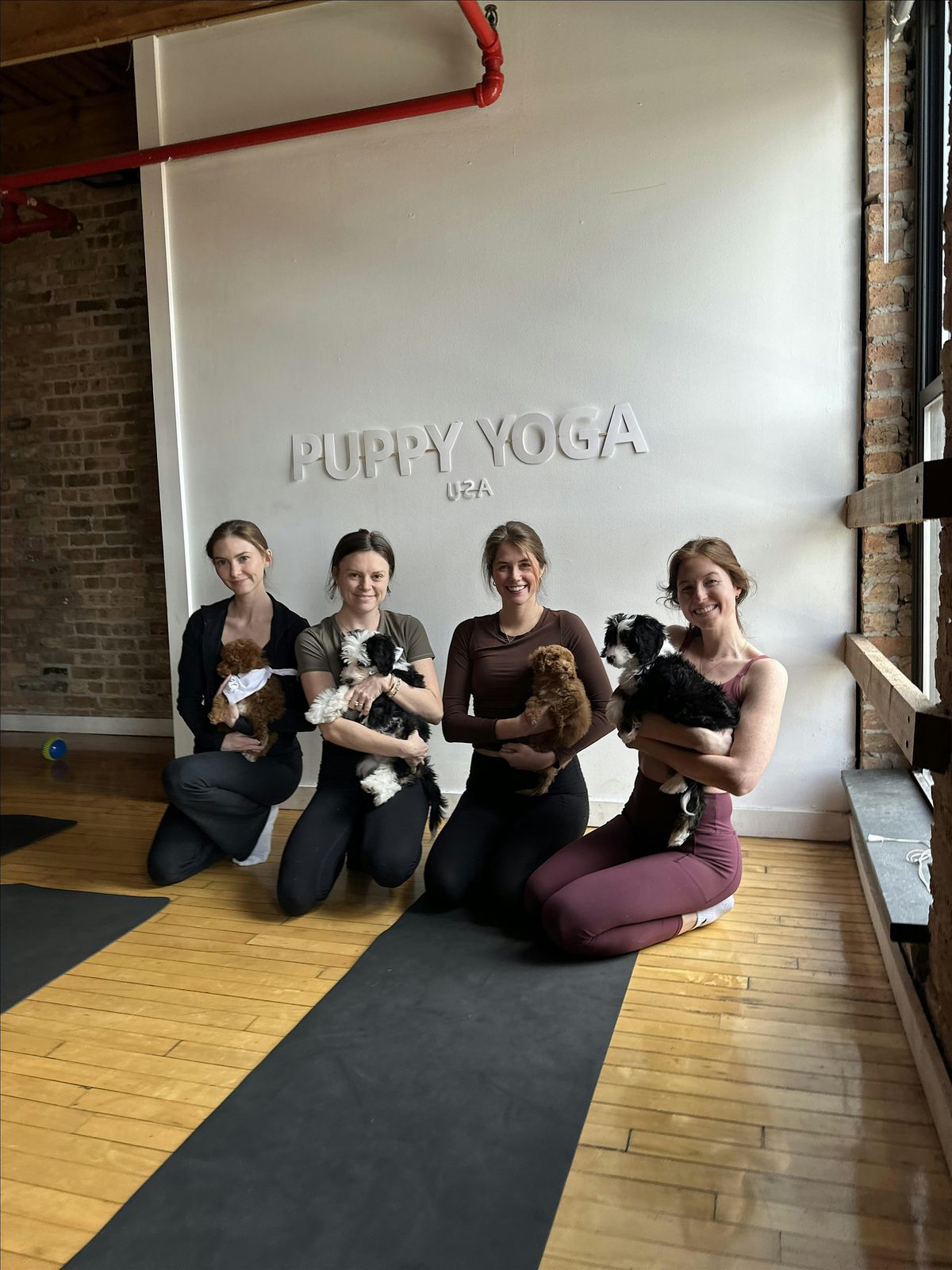 Puppy Yoga in New York - Dumbo