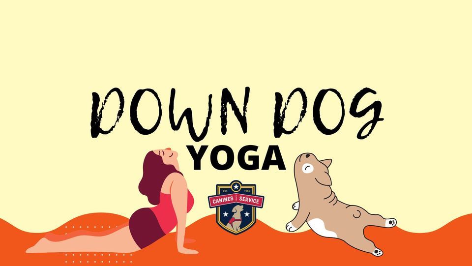Down Dog Yoga HiWire Brewing Wilmington June 10, 2023