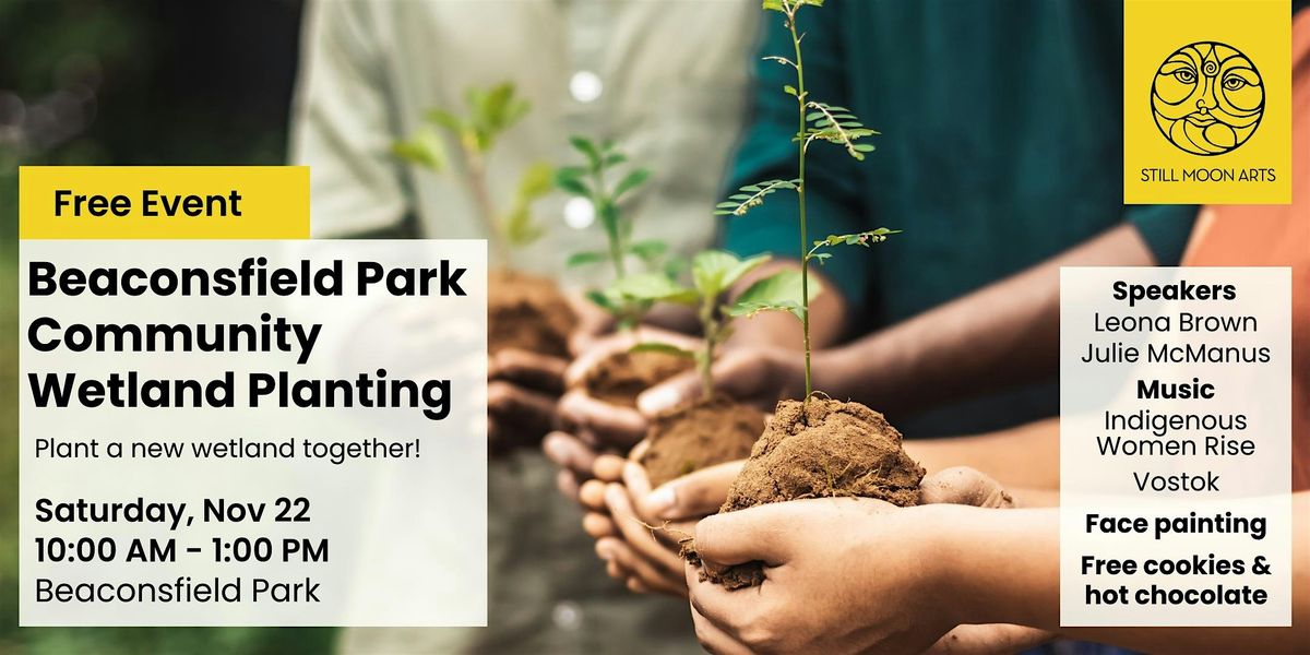 Beaconsfield Park Community Wetland Planting