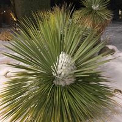 Colorado Cactus & Succulent Society (CCSS)