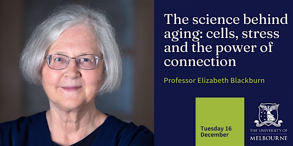 The science behind aging: cells, stress and the power of connection