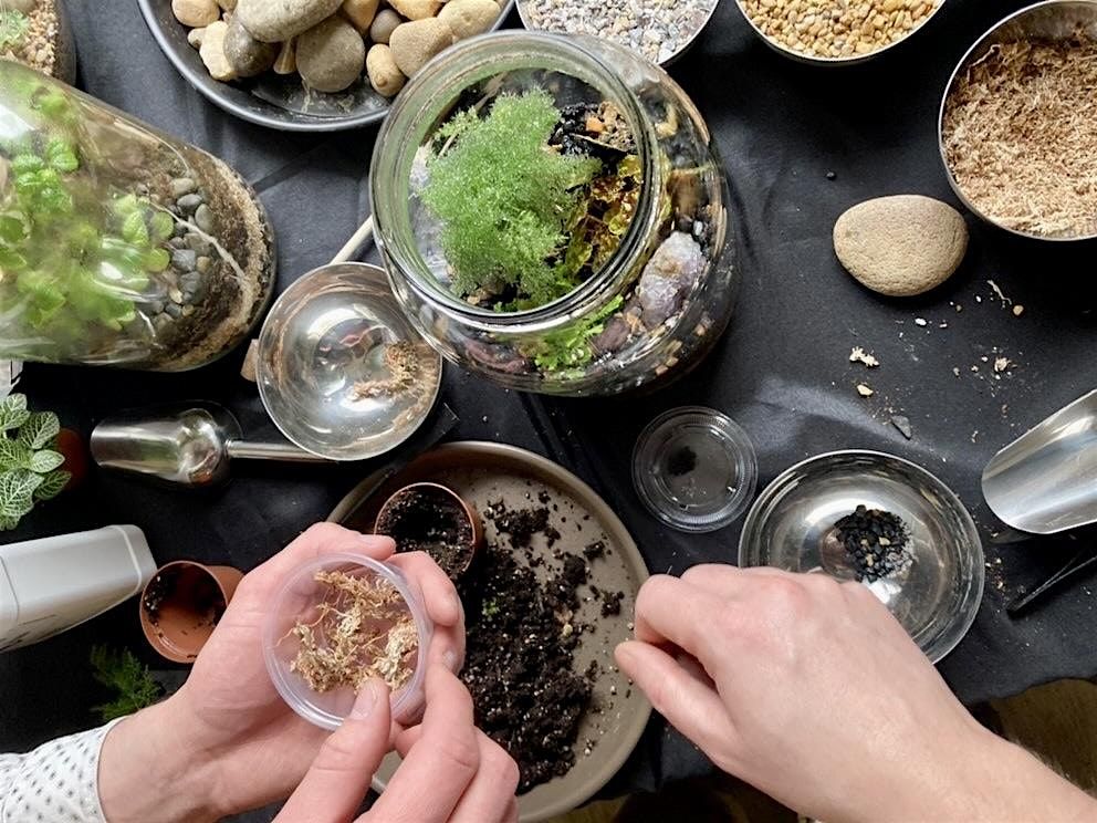 One Gallon BioActive Terrarium Workshop: Sunday September 28th , 10am-12pm