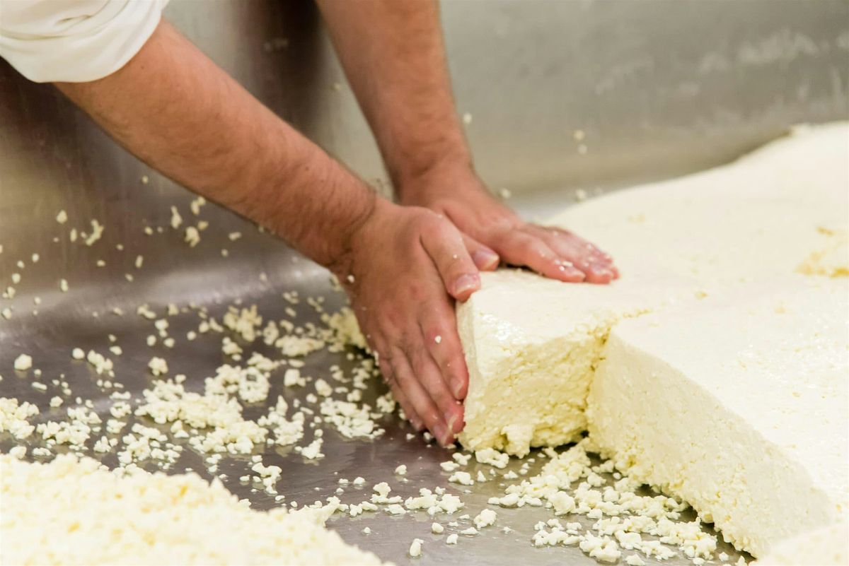 Curds and Culture: The Art of Cheesemaking
