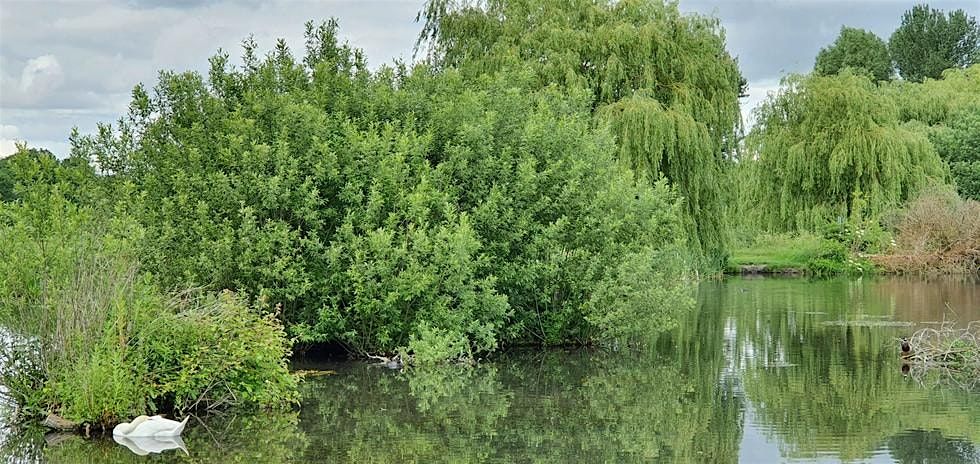 Kweens and Kings Cycle Group To: Foots Cray Meadows Sun 24th May 2026